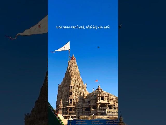 Ranchhod Rangila #dwarka #hindupilgrimage #dworldmusic #gujjulofi #madhav #hindutemple #music