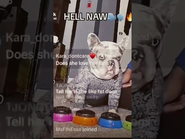 Hell Naw Dog meme