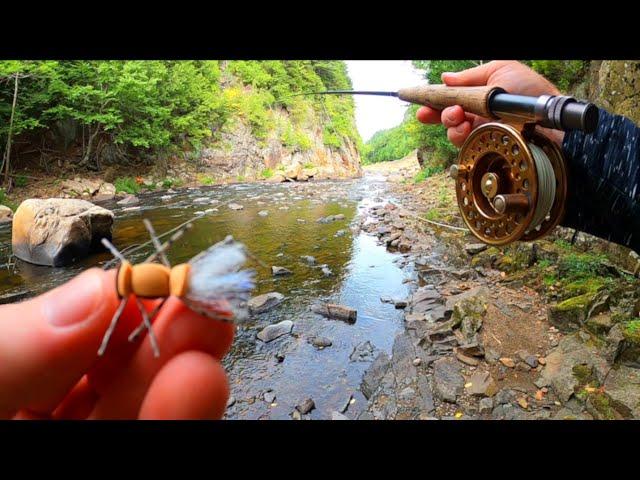 Summer Fly Fishing With HOPPERS | Adirondack Brown Trout