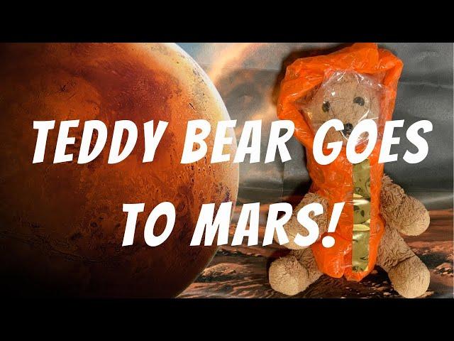 Watch teddy bear history: Elizabeth becomes the FIRST stuffed animal to travel to Mars!