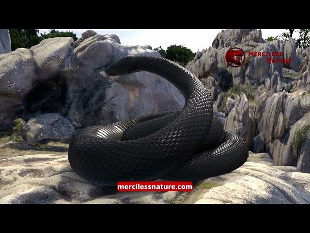 Titanaboa 3 – The Great Mountain Serpent – Epic Snake Vore