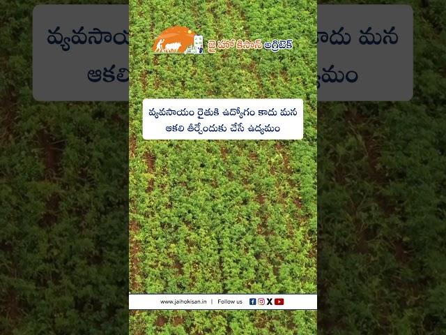 JHK Farmer Quote | Motivational quotes Telugu II Inspirational Quotes II Telugu Quotes #jaihokisan