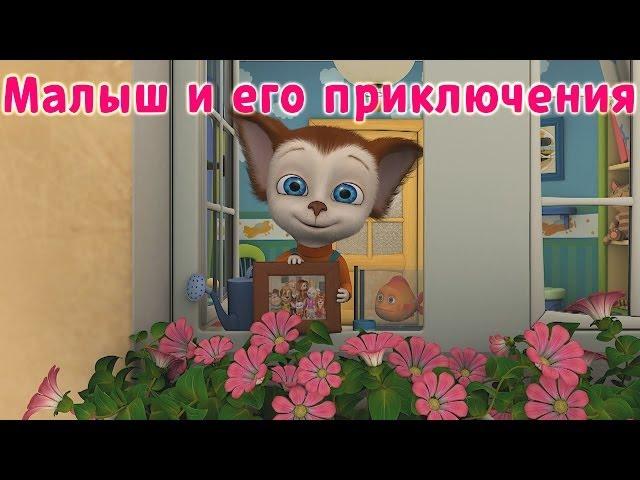Барбоскины | Малыш и его приключения | Мультики для детей