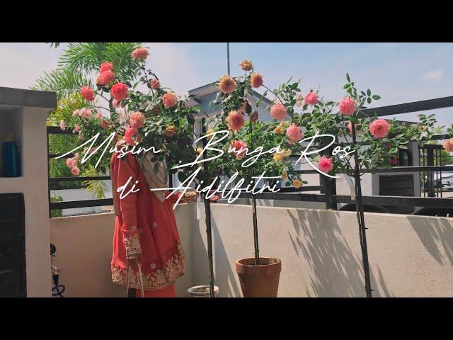 [BARAKALLAHUFIK] ROSE COLLECTION DI AIDILFITRI | Little SQFT