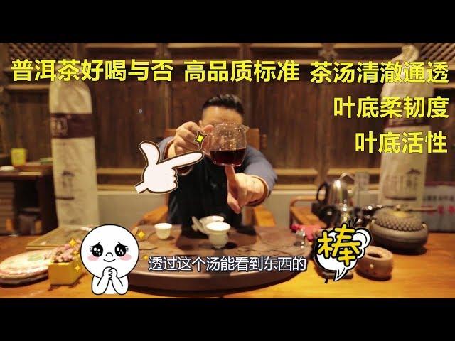 如何从口感评判一款普洱茶是否为好茶