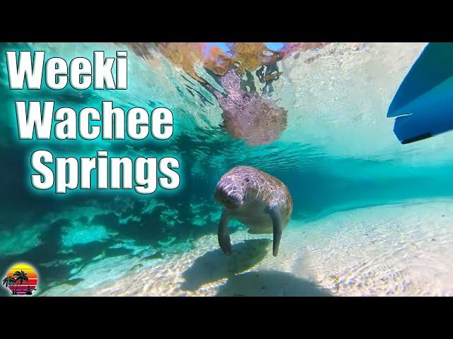 Uncover Florida's Secrets: Weeki Wachee Springs State Park