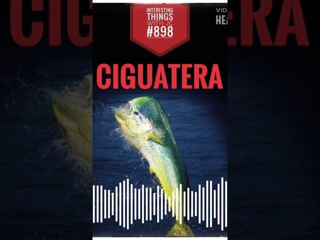 Ciguatera - it might never go away #podcast #interestingthings #science #fish #Florida