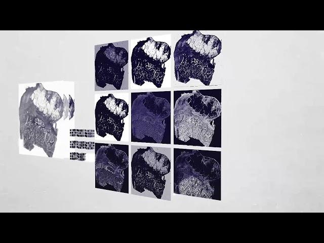 DoMore! • Deep learning & Convolutional neural networks!