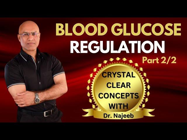 Fed State | Insulin & Role of Liver | Blood Glucose Regulation Part 2/2‍️