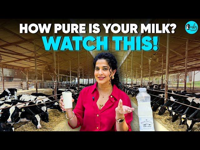 How Pure Is Your Milk? Kamiya Jani Visits A Farm In Pune | Curly Tales