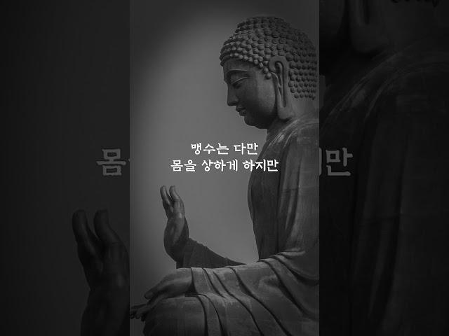 [1분철학] 친구도 급이 있다