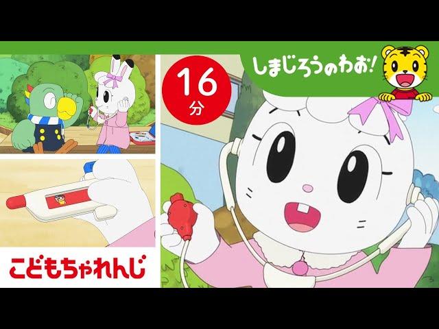 【16分アニメ】わたしはおいしゃさん！ お熱をはかります | ごっこ遊び | しまじろうのわお！アニメ | しまじろうチャンネル公式