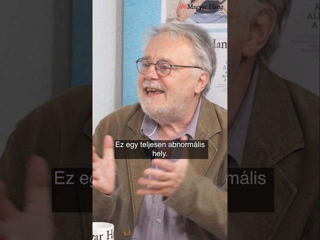 Máté Gábor: Ez egy teljesen abnormális hely #shorts