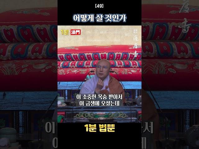 #통도사 #현덕스님 #법문