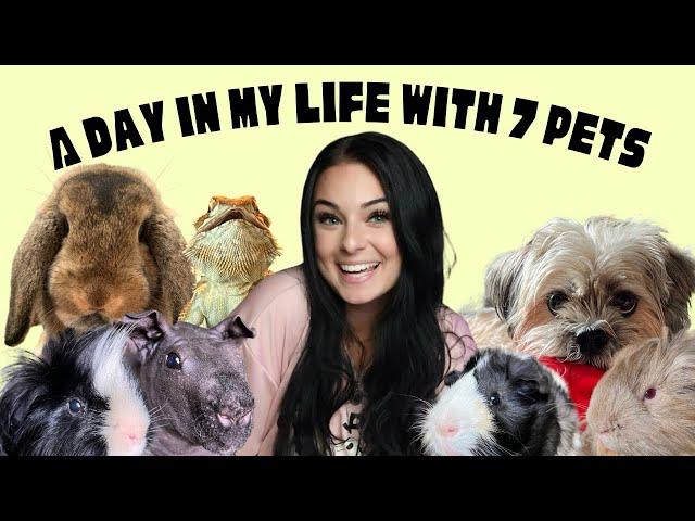 A Day In My Life With 7 CRAZY pets!!