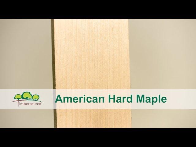 American Hard Maple Timber | Timbersource