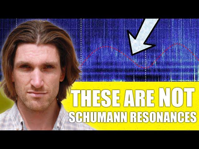 BREAKING! Strange Wave Patterns appear in the Schumann Resonances