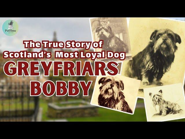 Greyfriars Bobby: The True Story of Scotland’s Most Loyal Dog