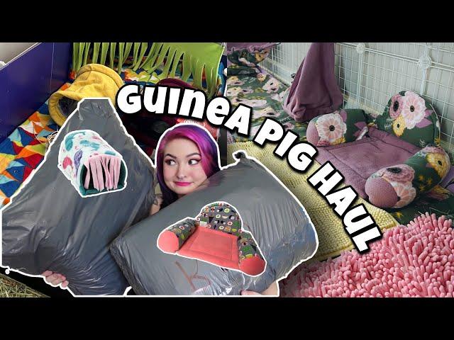 THE BEST GUINEA PIG HAUL YET! 