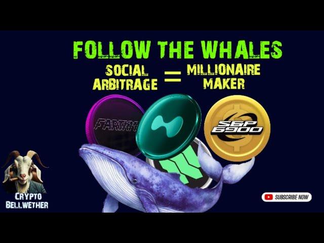 Become a Whale, BUY Social Arbitrage Altcoins - FARTCOIN, SPX6900, HYPE, SUPERVERSE #fartcoin