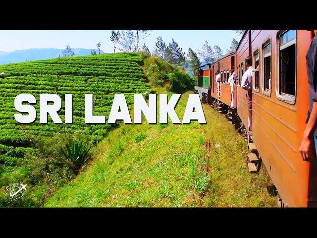 13 Things to do in Sri Lanka | Travel Guide | The Planet D | Travel Vlog