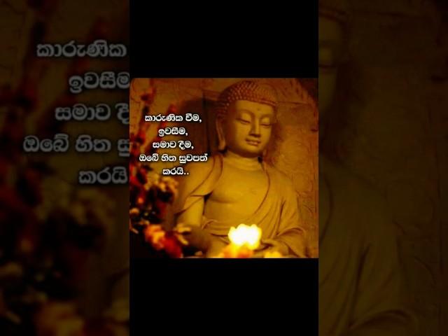 #ධර්මදානයක්_වේවා #truth #dhamma #dhamma_talk #buddha #love #nirwana #buddhism #motivation #nibbana