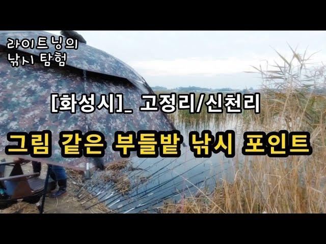 [화성시]_ 고정리 / 신천리 부들밭 둠벙 / 낚시 포인트