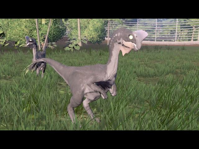 Oviraptor sounds