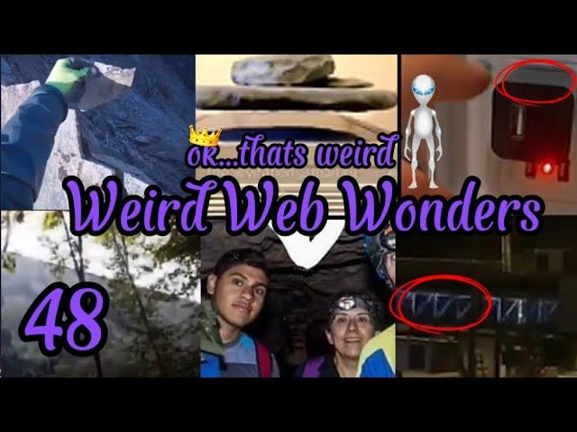 weird web wonders 48