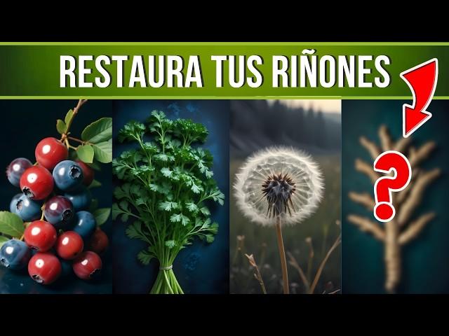 5 Alimentos Milagrosos para RESTAURAR tus RIÑONES ️ ¡Transforma tu Salud!