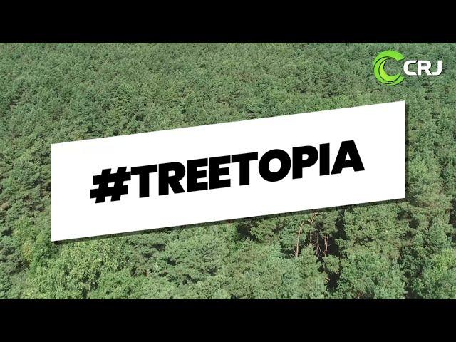 CRJ SERVICES TEAM UP WITH DOVE BANK PRIMARY SCHOOL TO LAUNCH TREETOPIA