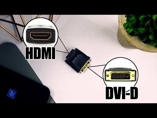 DVI-D to HDMI Adapter Work?! [2020]