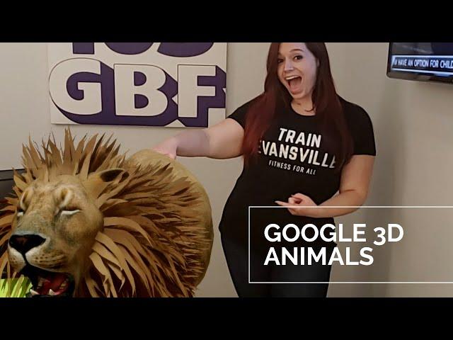 Learn How To View Animals in 3D with Google on Android & iPhone