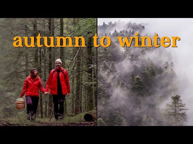 Autumn to Winter transition in the French woods | Cozy days at the Windy Burrow, silent vlog