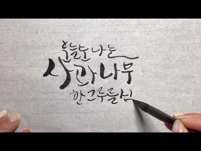 #캘리김여사 (#캘리그라피배우기 )