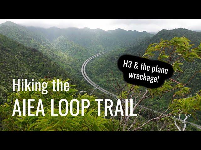 Beginner's hike on Oahu Hawaii: Aiea Loop Trail | Info