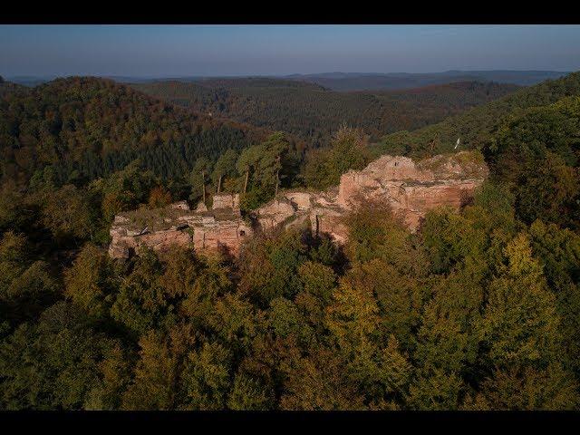 Dambach - Château du Schoeneck