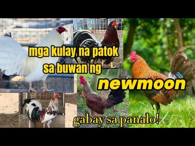 Top scorer | mga kulay na patok sa buwan ng newmoon