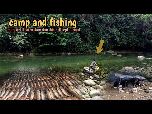 bermalam di pinggir sungai berburu ikan dengan cara tradisional