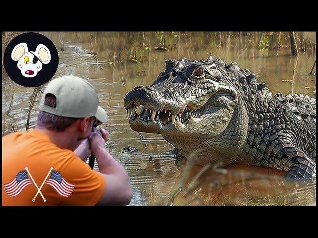 How Do Hunters Deal With Millions of Giant Crocodiles? | Hunting Documentary