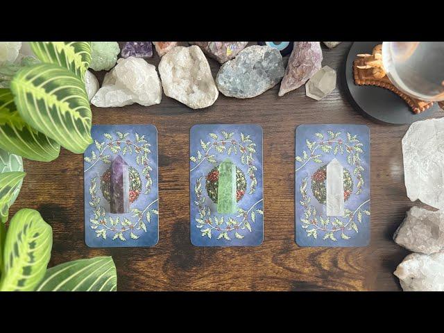 What’s coming NEXT in this connection? Pick a Card Reading