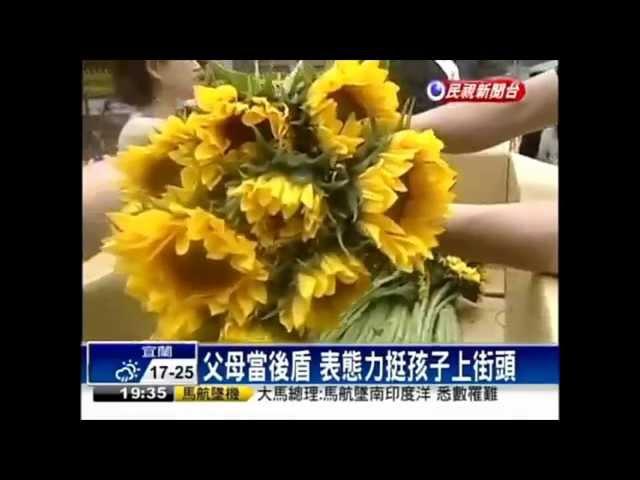 太陽花公民運動紀錄　勿忘324鎮壓　張懸《玫瑰色的你》