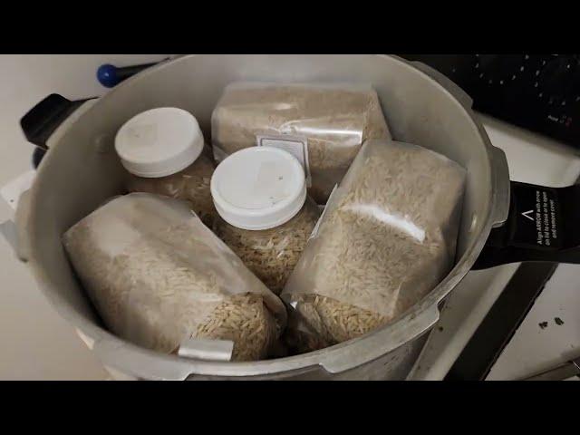 Making Grain Spawn for Growing Mushrooms - Better Than Uncle Bens