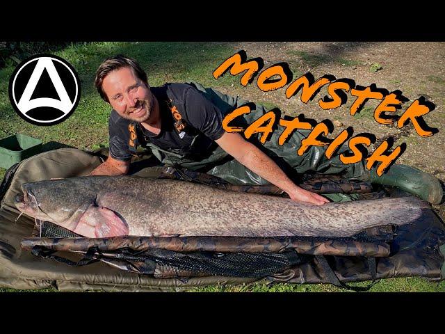 Episode 5. Monster Catfish