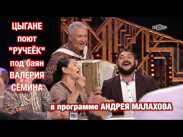 ЦЫГАНЕ поют песню "РУЧЕЁК" под баян Валерия Сёмина в НАРОДНОЙ программе Андрея Малахова ️