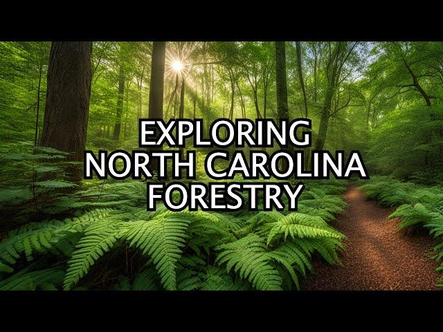 The Heart Of American Forestry: Exploring North Carolina's Forests | Exploring Creation Vids