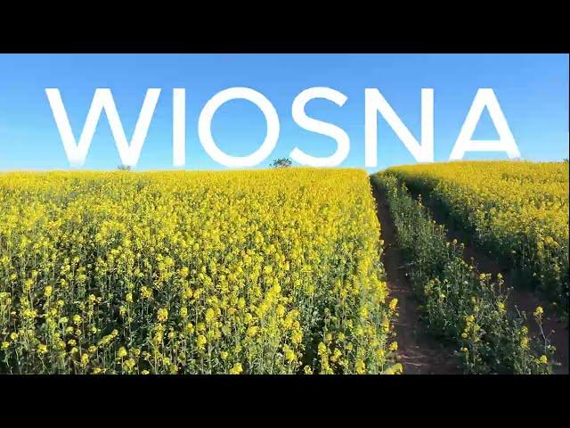 Wiosna 2025