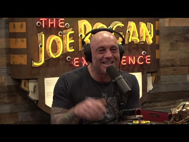 Joe Rogan Experience #1967 - Mike Vecchione