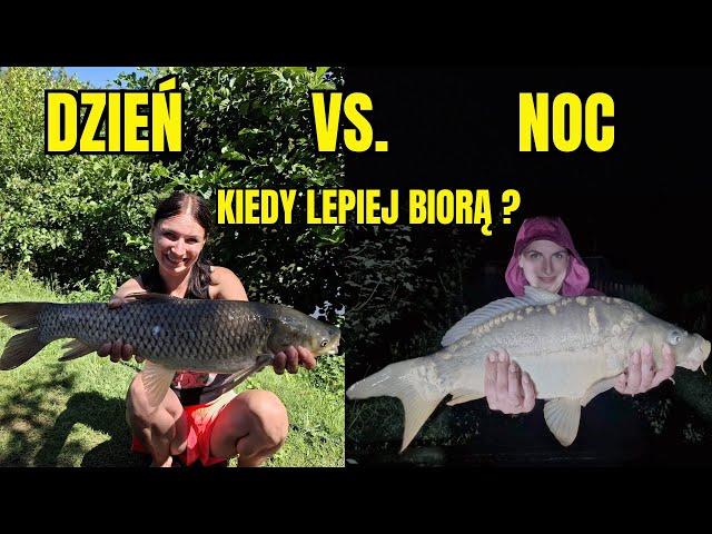 LETNIE RYBY w DZIEŃ i NOCĄ #wędkarstwo #fish #ryby #karpie