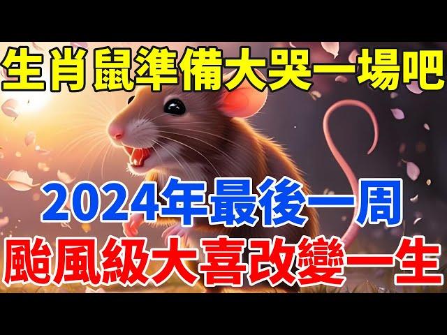 生肖鼠準備大哭一場吧！2024年最後一周，颱風級大喜或將改變你的一生！【佛語禪音】#生肖 #命理 #運勢 #屬相 #風水